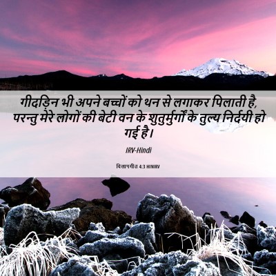 Picture 06 - विलापगीत 4:3 HINIRV - गीदड़िन भी अपने - Bible Verse Picture