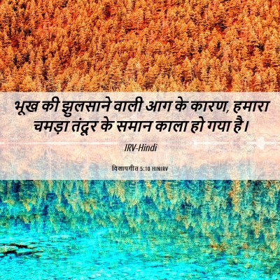 Picture 06 - विलापगीत 5:10 HINIRV - भूख की झुलसाने - Bible Verse Picture