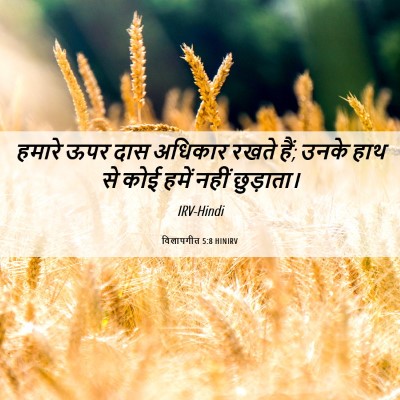 Picture 06 - विलापगीत 5:8 HINIRV - हमारे ऊपर दास - Bible Verse Picture