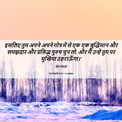 Picture 06 - व्यवस्थाविवरण 1:13 HINIRV - इसलिए तुम - Bible Verse Picture