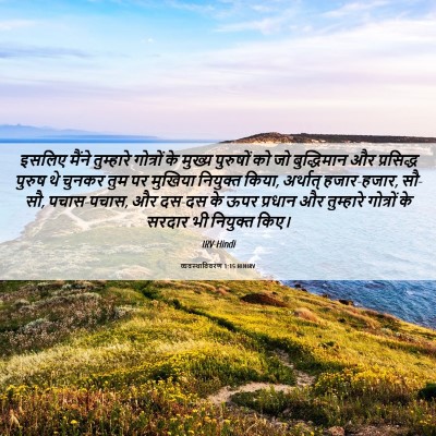 Picture 06 - व्यवस्थाविवरण 1:15 HINIRV - इसलिए मैंने - Bible Verse Picture