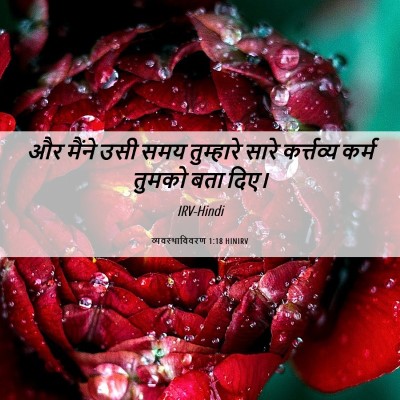 Picture 06 - व्यवस्थाविवरण 1:18 HINIRV - और मैंने उसी समय - Bible Verse Picture
