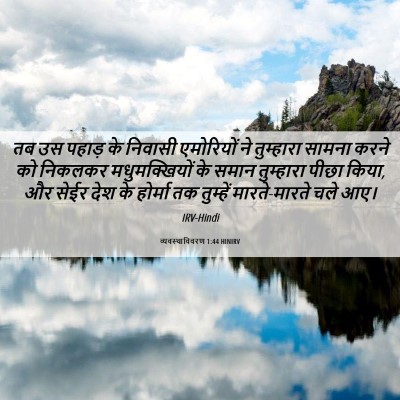 Picture 06 - व्यवस्थाविवरण 1:44 HINIRV - तब उस पहाड़ के - Bible Verse Picture