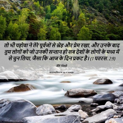Picture 06 - व्यवस्थाविवरण 10:15 HINIRV - तो भी यहोवा ने तेरे - Bible Verse Picture