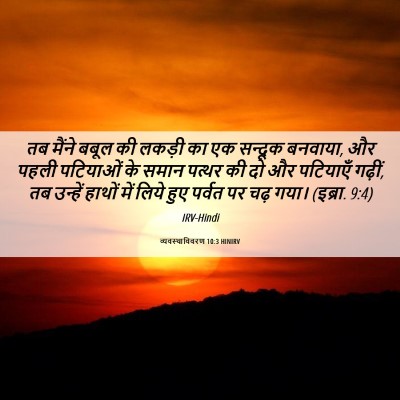 Picture 06 - व्यवस्थाविवरण 10:3 HINIRV - तब मैंने बबूल की - Bible Verse Picture