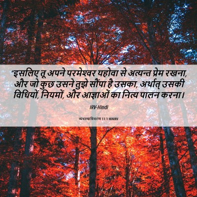 Picture 06 - व्यवस्थाविवरण 11:1 HINIRV - “इसलिए तू अपने - Bible Verse Picture