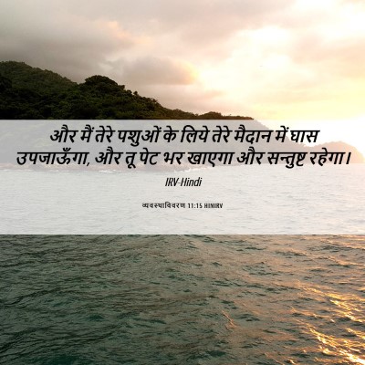 Picture 06 - व्यवस्थाविवरण 11:15 HINIRV - और मैं तेरे पशुओं - Bible Verse Picture
