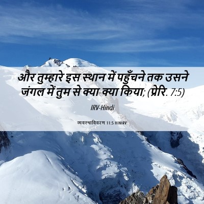 Picture 06 - व्यवस्थाविवरण 11:5 HINIRV - और तुम्हारे इस - Bible Verse Picture