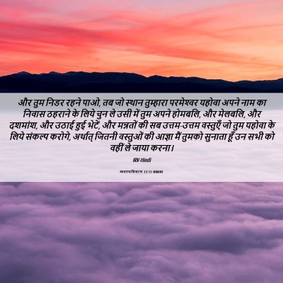 Picture 06 - व्यवस्थाविवरण 12:11 HINIRV - और तुम निडर रहने - Bible Verse Picture