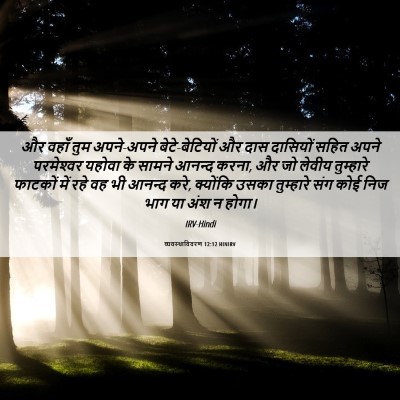 Picture 06 - व्यवस्थाविवरण 12:12 HINIRV - और वहाँ तुम - Bible Verse Picture