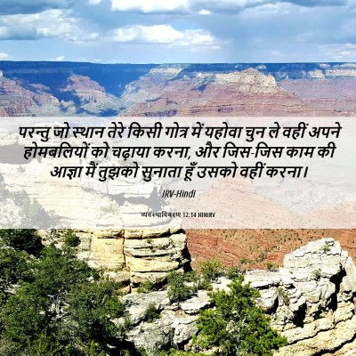 Picture 06 - व्यवस्थाविवरण 12:14 HINIRV - परन्तु जो स्थान - Bible Verse Picture