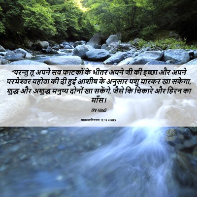 Picture 06 - व्यवस्थाविवरण 12:15 HINIRV - “परन्तु तू अपने सब - Bible Verse Picture