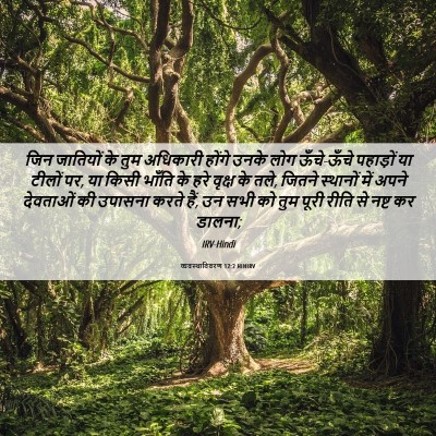 Picture 06 - व्यवस्थाविवरण 12:2 HINIRV - जिन जातियों के तुम - Bible Verse Picture