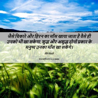 Picture 06 - व्यवस्थाविवरण 12:22 HINIRV - जैसे चिकारे और - Bible Verse Picture
