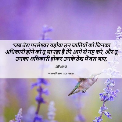 Picture 06 - व्यवस्थाविवरण 12:29 HINIRV - “जब तेरा - Bible Verse Picture
