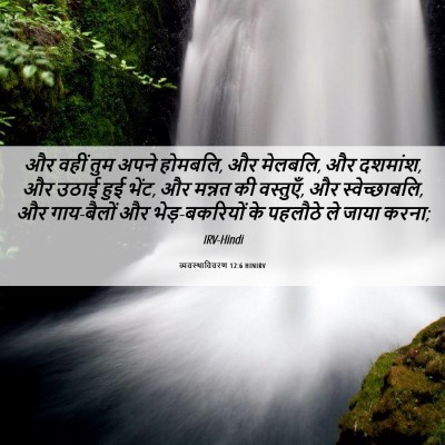 Picture 06 - व्यवस्थाविवरण 12:6 HINIRV - और वहीं तुम अपने - Bible Verse Picture