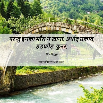 Picture 06 - व्यवस्थाविवरण 14:12 HINIRV - परन्तु इनका माँस न - Bible Verse Picture