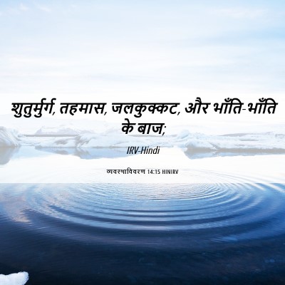 Picture 06 - व्यवस्थाविवरण 14:15 HINIRV - शुतुर्मुर्ग, - Bible Verse Picture
