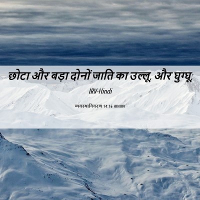 Picture 06 - व्यवस्थाविवरण 14:16 HINIRV - छोटा और बड़ा दोनों - Bible Verse Picture