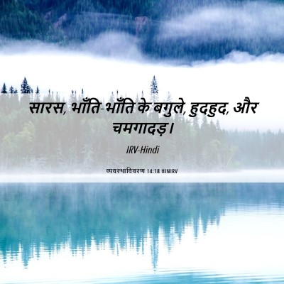 Picture 06 - व्यवस्थाविवरण 14:18 HINIRV - सारस, भाँति-भाँति - Bible Verse Picture