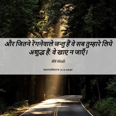Picture 06 - व्यवस्थाविवरण 14:19 HINIRV - और जितने - Bible Verse Picture