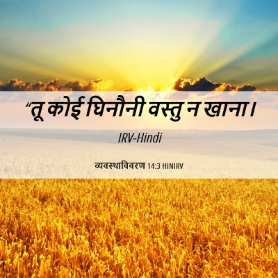 Picture 06 - व्यवस्थाविवरण 14:3 HINIRV - “तू कोई घिनौनी - Bible Verse Picture