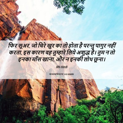 Picture 06 - व्यवस्थाविवरण 14:8 HINIRV - फिर सूअर, जो चिरे - Bible Verse Picture