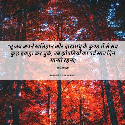 Picture 06 - व्यवस्थाविवरण 16:13 HINIRV - “तू जब अपने खलिहान - Bible Verse Picture
