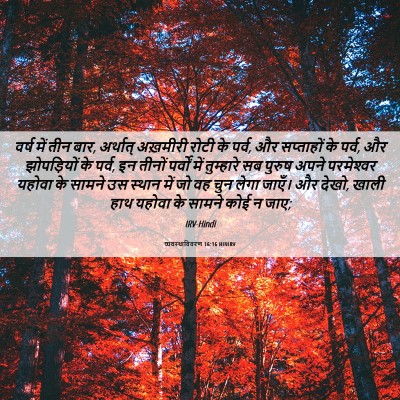 Picture 06 - व्यवस्थाविवरण 16:16 HINIRV - वर्ष में तीन बार, - Bible Verse Picture