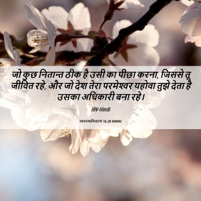 Picture 06 - व्यवस्थाविवरण 16:20 HINIRV - जो कुछ नितान्त ठीक - Bible Verse Picture