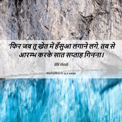 Picture 06 - व्यवस्थाविवरण 16:9 HINIRV - “फिर जब तू खेत में - Bible Verse Picture