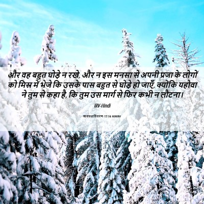 Picture 06 - व्यवस्थाविवरण 17:16 HINIRV - और वह बहुत घोड़े न - Bible Verse Picture