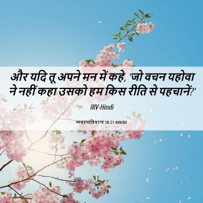 Picture 06 - व्यवस्थाविवरण 18:21 HINIRV - और यदि तू अपने मन - Bible Verse Picture