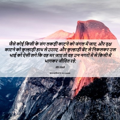 Picture 06 - व्यवस्थाविवरण 19:5 HINIRV - जैसे कोई किसी के - Bible Verse Picture