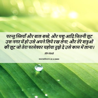 Picture 06 - व्यवस्थाविवरण 20:14 HINIRV - परन्तु स्त्रियाँ - Bible Verse Picture
