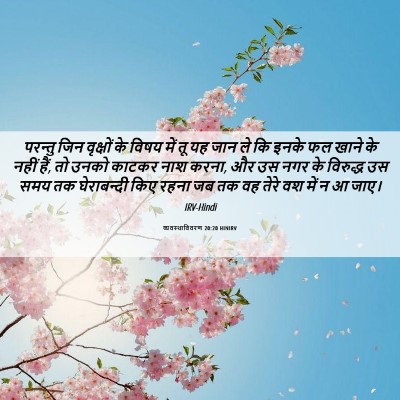 Picture 06 - व्यवस्थाविवरण 20:20 HINIRV - परन्तु जिन - Bible Verse Picture