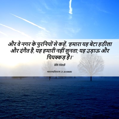 Picture 06 - व्यवस्थाविवरण 21:20 HINIRV - और वे नगर के - Bible Verse Picture