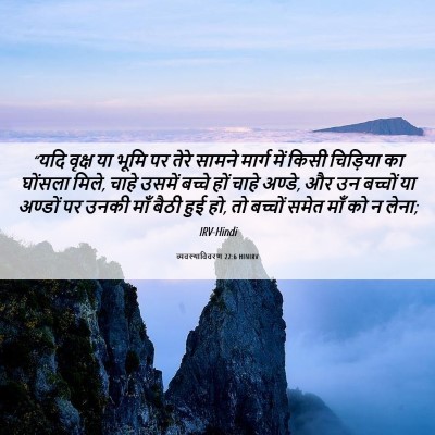 Picture 06 - व्यवस्थाविवरण 22:6 HINIRV - “यदि वृक्ष या भूमि - Bible Verse Picture
