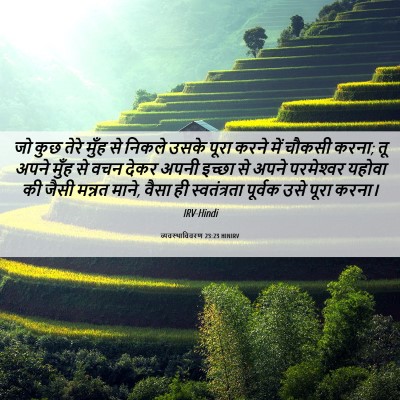 Picture 06 - व्यवस्थाविवरण 23:23 HINIRV - जो कुछ तेरे मुँह से - Bible Verse Picture