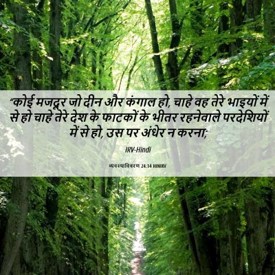 Picture 06 - व्यवस्थाविवरण 24:14 HINIRV - “कोई मजदूर जो दीन - Bible Verse Picture
