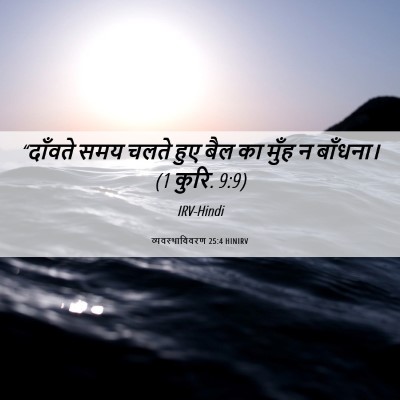 Picture 06 - व्यवस्थाविवरण 25:4 HINIRV - “दाँवते समय चलते - Bible Verse Picture