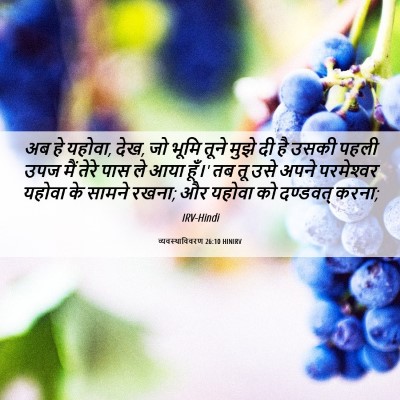 Picture 06 - व्यवस्थाविवरण 26:10 HINIRV - अब हे यहोवा, देख, जो - Bible Verse Picture