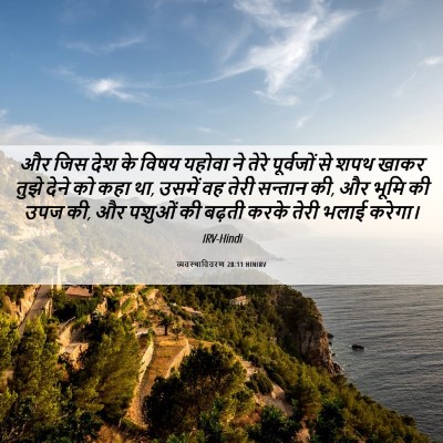 Picture 06 - व्यवस्थाविवरण 28:11 HINIRV - और जिस देश के विषय - Bible Verse Picture