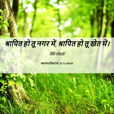Picture 06 - व्यवस्थाविवरण 28:16 HINIRV - श्रापित हो तू नगर - Bible Verse Picture