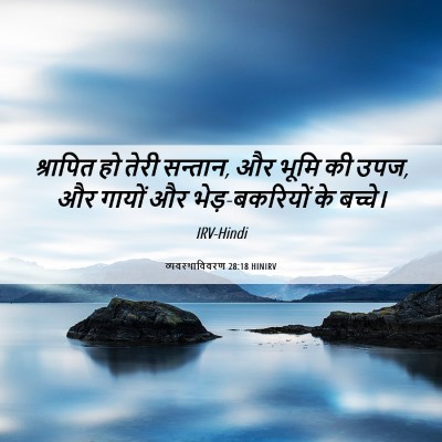 Picture 06 - व्यवस्थाविवरण 28:18 HINIRV - श्रापित हो तेरी - Bible Verse Picture