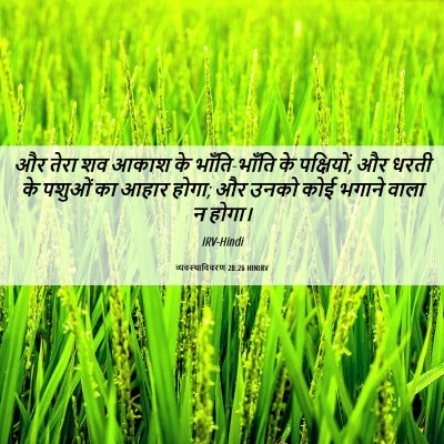 Picture 06 - व्यवस्थाविवरण 28:26 HINIRV - और तेरा शव आकाश के - Bible Verse Picture