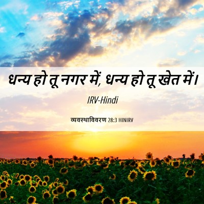 Picture 06 - व्यवस्थाविवरण 28:3 HINIRV - धन्य हो तू नगर में, - Bible Verse Picture