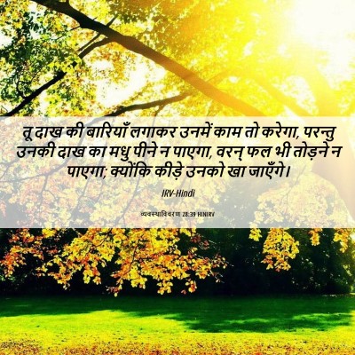 Picture 06 - व्यवस्थाविवरण 28:39 HINIRV - तू दाख की बारियाँ - Bible Verse Picture
