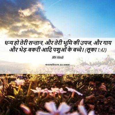 Picture 06 - व्यवस्थाविवरण 28:4 HINIRV - धन्य हो तेरी - Bible Verse Picture