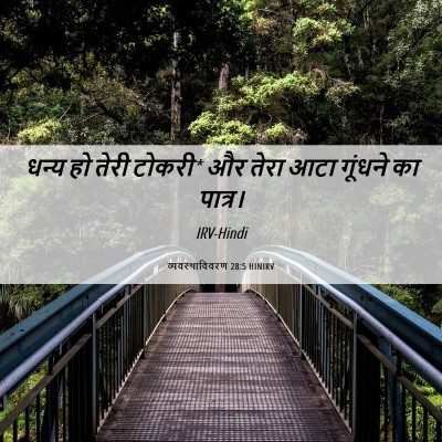 Picture 06 - व्यवस्थाविवरण 28:5 HINIRV - धन्य हो तेरी टोकरी* - Bible Verse Picture